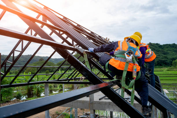 Roof Gutter Cleaning in Mayer, MN